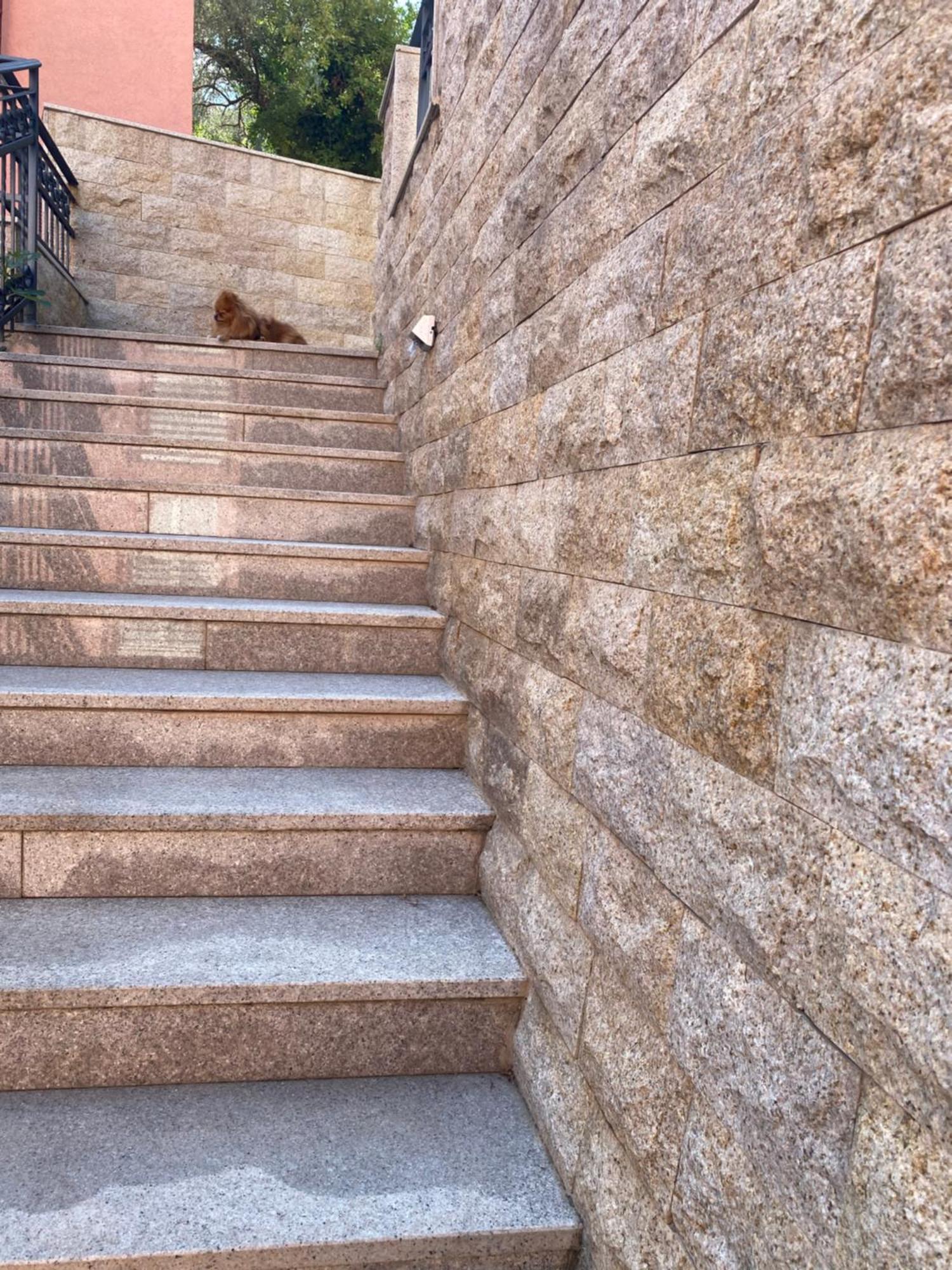 Petrovac Apartments Ivan מראה חיצוני תמונה