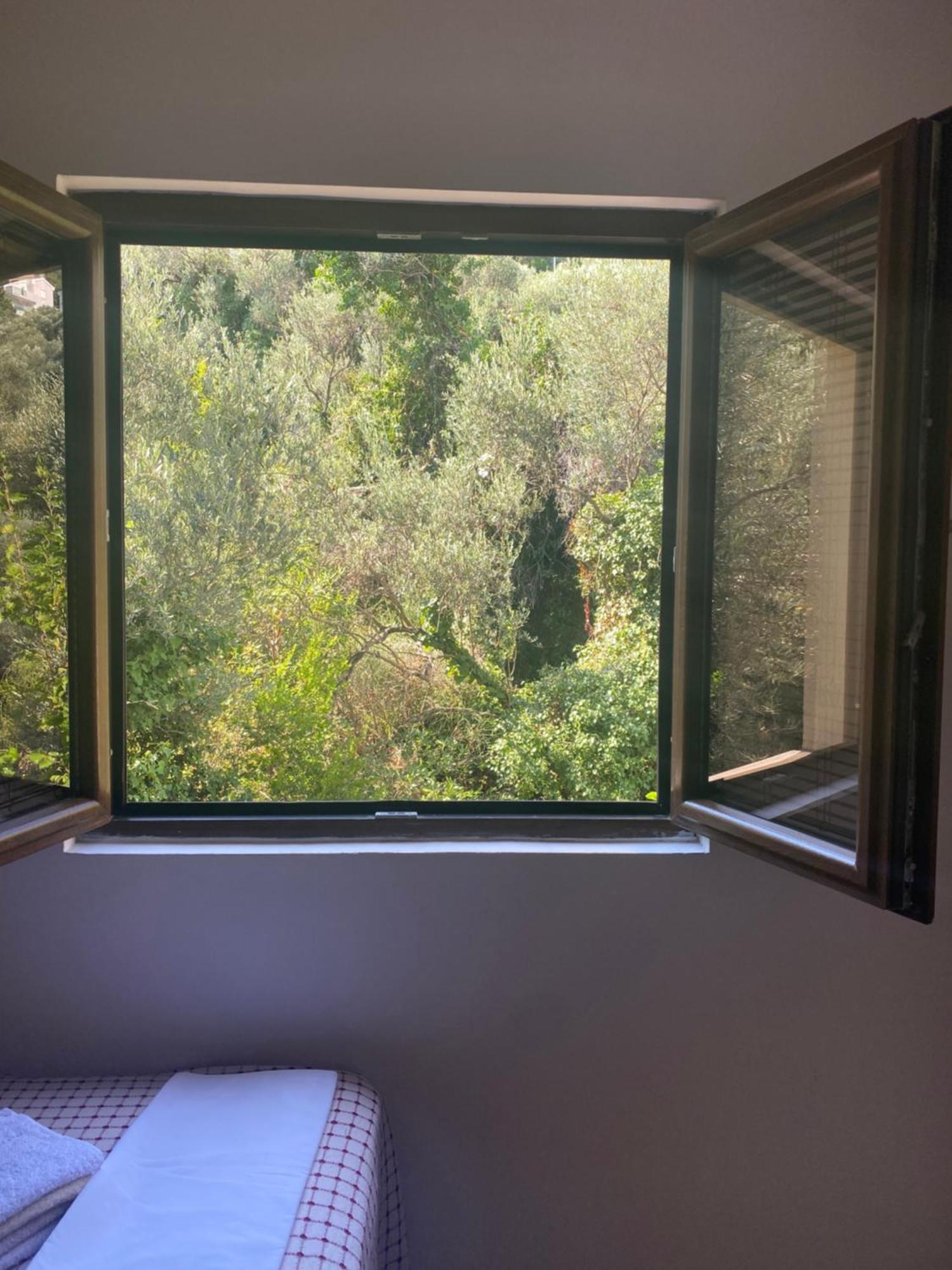 Petrovac Apartments Ivan מראה חיצוני תמונה